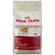 Royal Canin Fit 32 Dry Cats Foods.