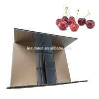 insulated cool carton box chilled food delivery transportation packaging material